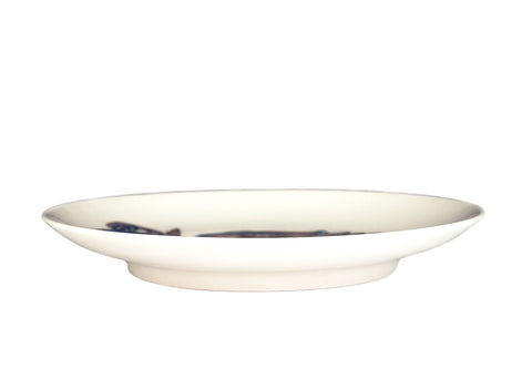 Colorfull Cameleon. Wood-fired hand painted porcelain Plate.