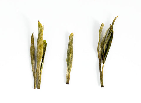 Guizhou Gaoji Song Zhen Lü Cha