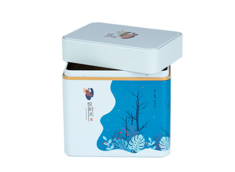 Steel tea caddy # 33393