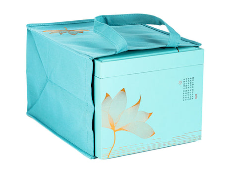 Teacaddy with gift box # 33467, porcelain