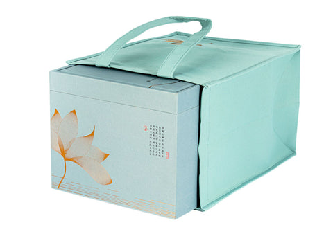 Teacaddy with gift box # 33466, porcelain