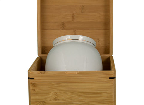 Teacaddy with gift box # 33464, porcelain