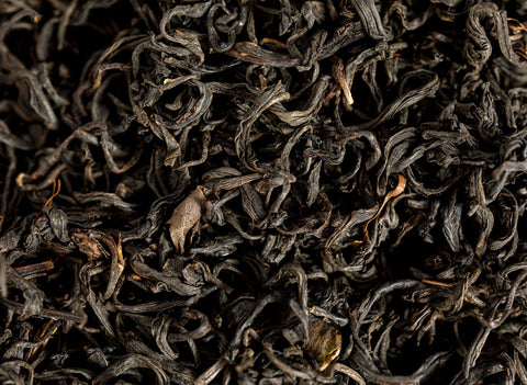 Orchidée Noire de Nilgiri