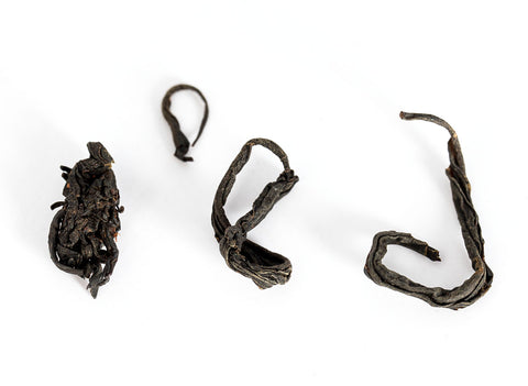 Schwarze Orchidee aus Nilgiri