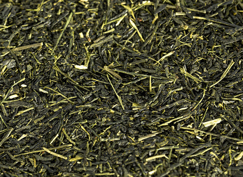 Hoshino Sencha Tsuyuhikari