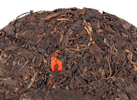 Jie Zheng Sheng Cha Bing (2007)