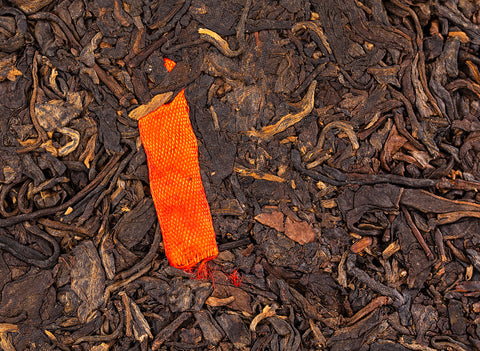 Jie Zheng Sheng Cha Bing (2007)