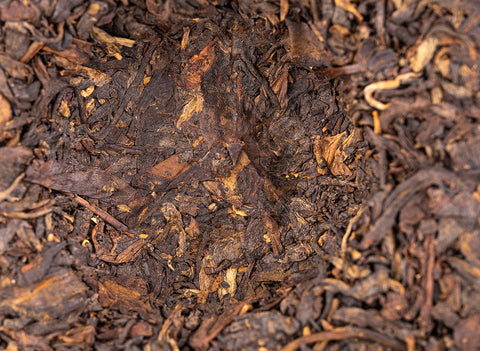 Jie Zheng Sheng Cha Bing (2007)