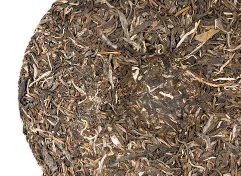 Sheng puer from the trees of Wengji village, Jingmai mountains, 2021, 357 g