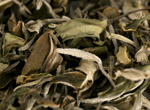 Gaba White Tea from the alpine gardens of Yongde County