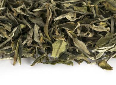 Gaba White Tea from the alpine gardens of Yongde County