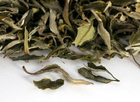 Gaba White Tea from the alpine gardens of Yongde County