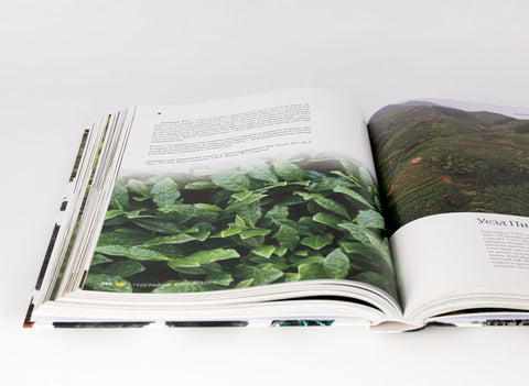 "Geografie van Chinese thee" Sergey Shevelev (editie in het Russisch)