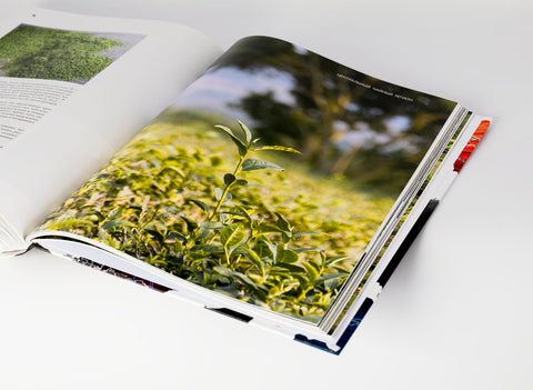 "Geografie van Chinese thee" Sergey Shevelev (editie in het Russisch)