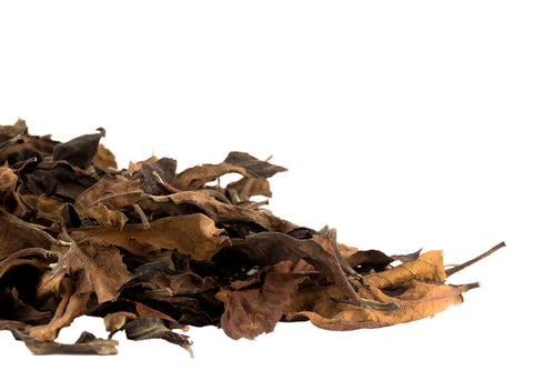 Exclusive Dutch White tea 50g