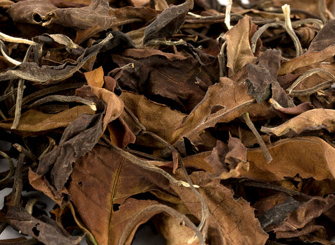 Exclusive Dutch White tea 50g