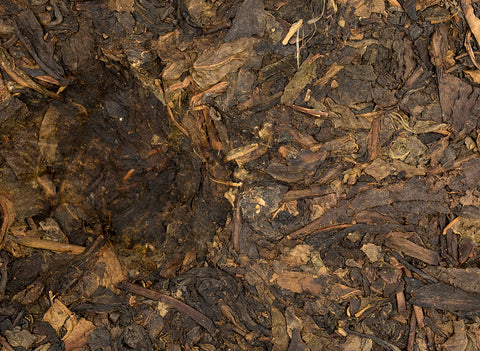 Ye Sheng Da Ye Bing N1 (handgeperst in 2003), 340 g