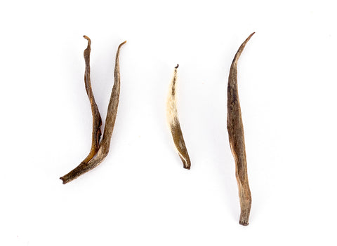 Jun Shan Yin Zhen 4, 2005