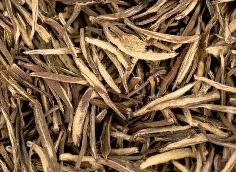 Lao Junshan Yu Jian, 2005