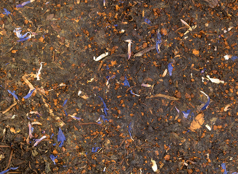 Kruidentheecake “Bosthee", 80 g