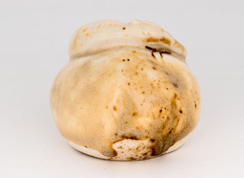 Teapet # 30264, wood firing/porcelain