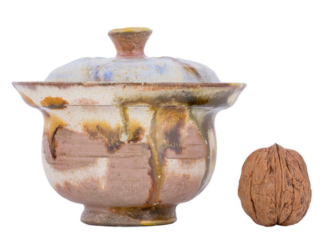 Gaiwan handmade Moychay 'Mushroom Kingdom' # 43833, wood firing/ceramic/hand painting, 115 ml.