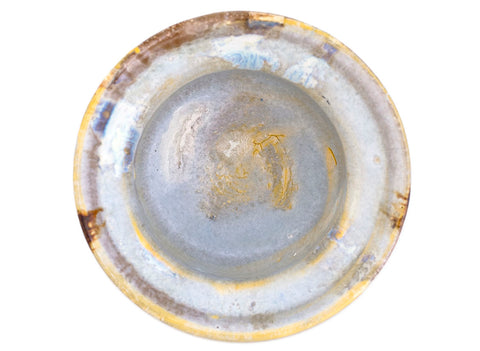 Gaiwan handmade Moychay 'Mushroom Kingdom' # 43833, wood firing/ceramic/hand painting, 115 ml.