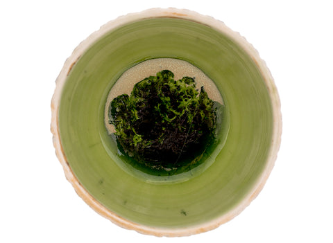 Tasse artisanale Moychay n° 44379, céramique, 103 ml.